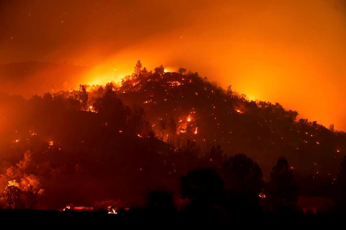 Standing Strong Amid the Los Angeles Fire: A Message of Support and Resilience